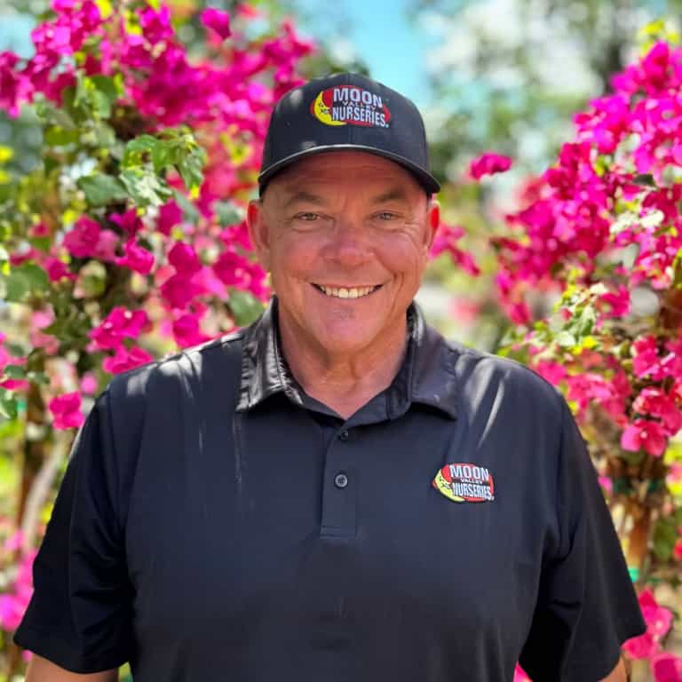 Tree Nursery in Chandler, AZ | Gilbert | Mature Trees & Landscaping