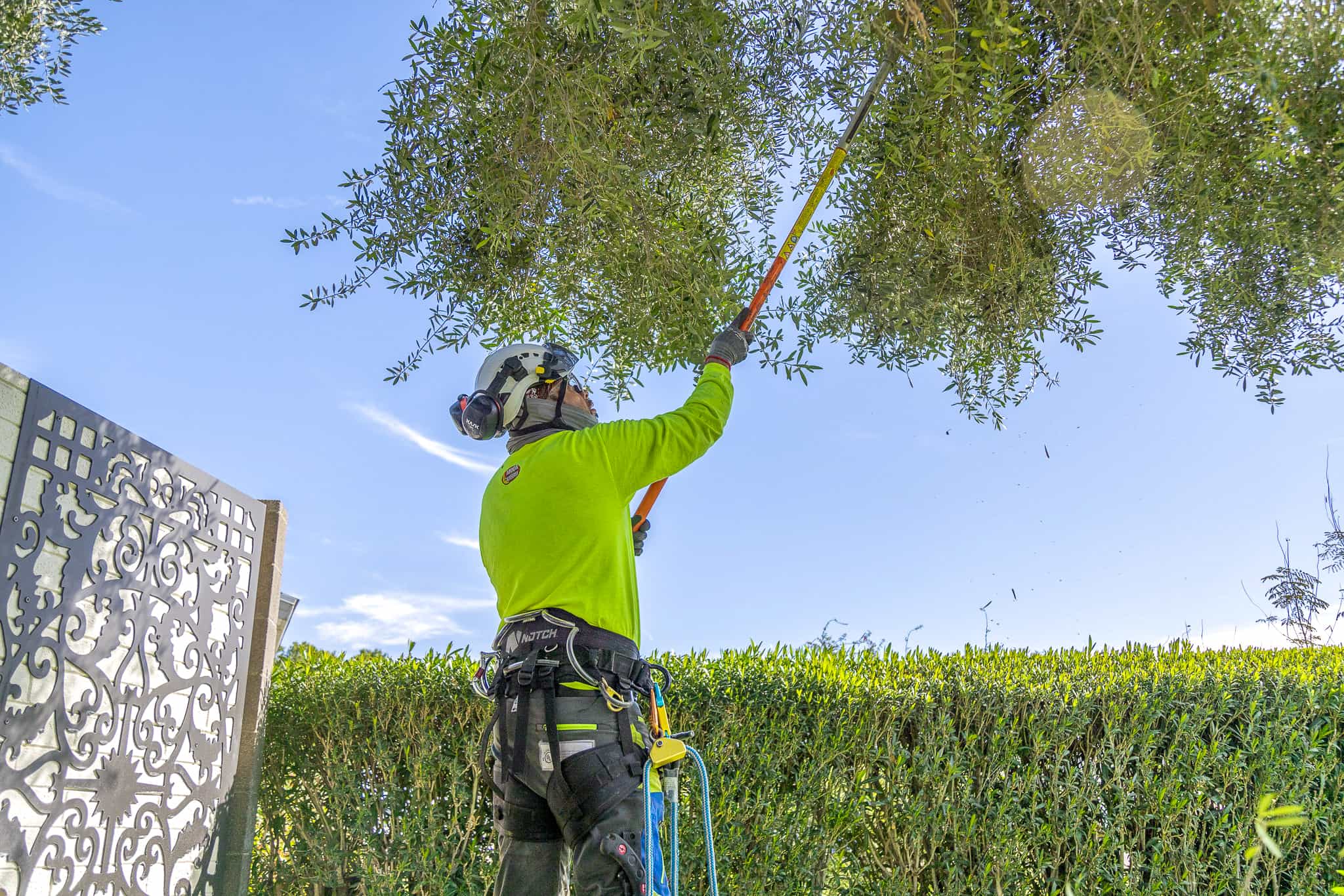 Tree_Care_Desktop_Hero.png