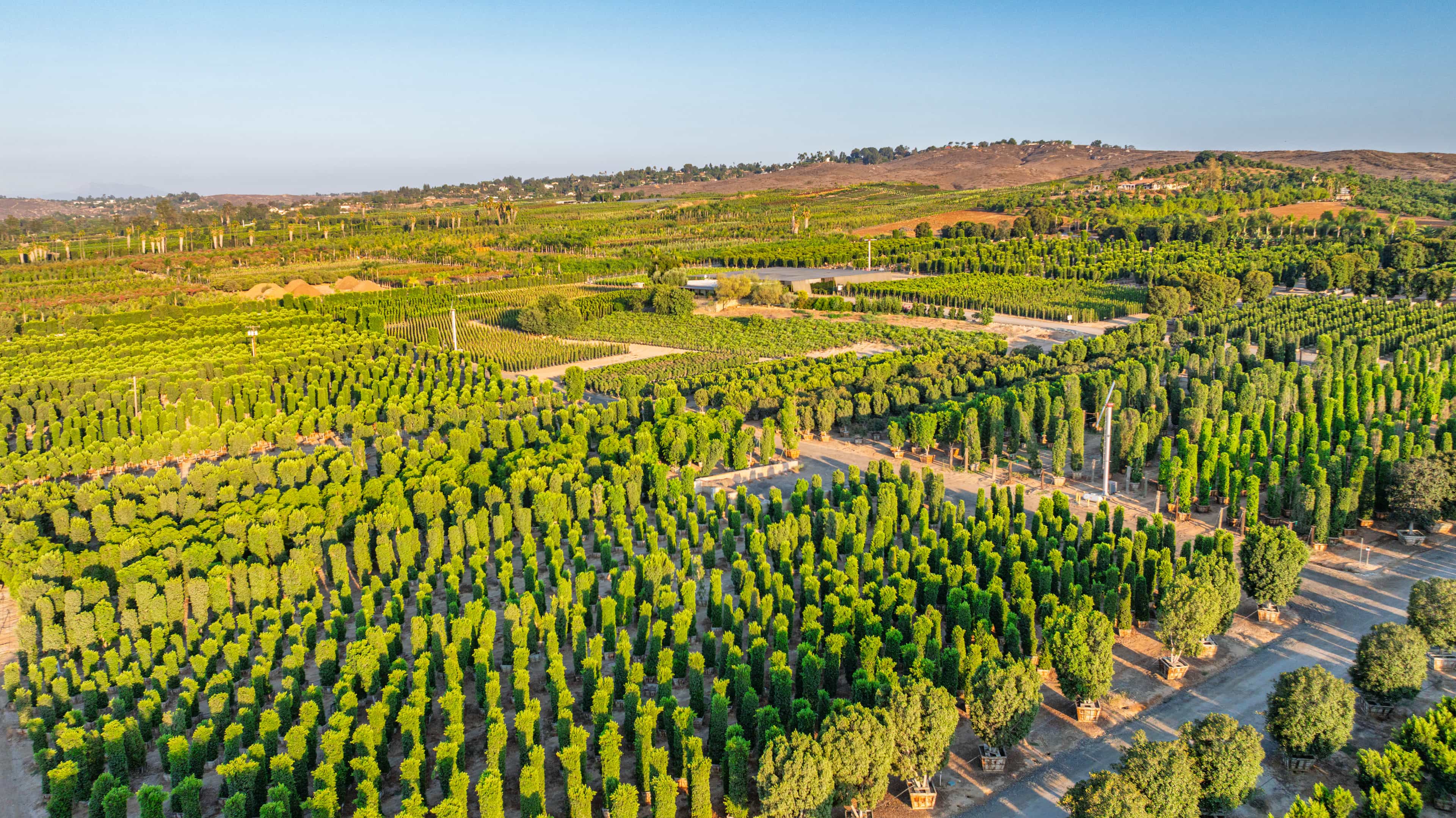 Wholesale_Overhead_Farm_Shot.jpg