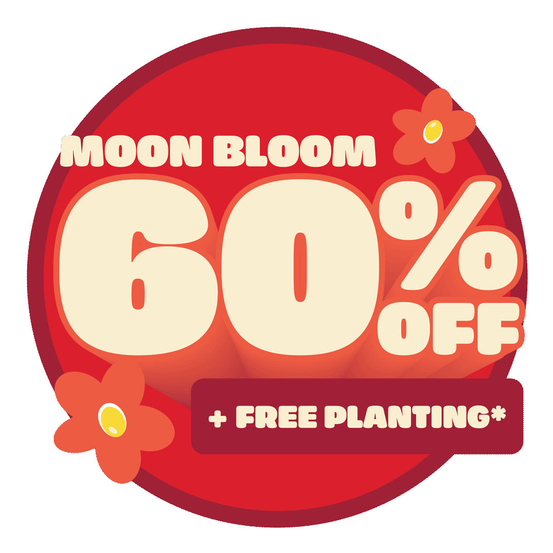Moon-Bloom-Last-Weekend.gif