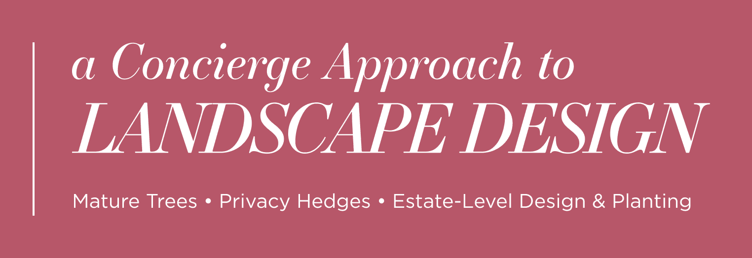 A concierge approach to landscape design | mature trees - privacy hedges - estate-level design & planting