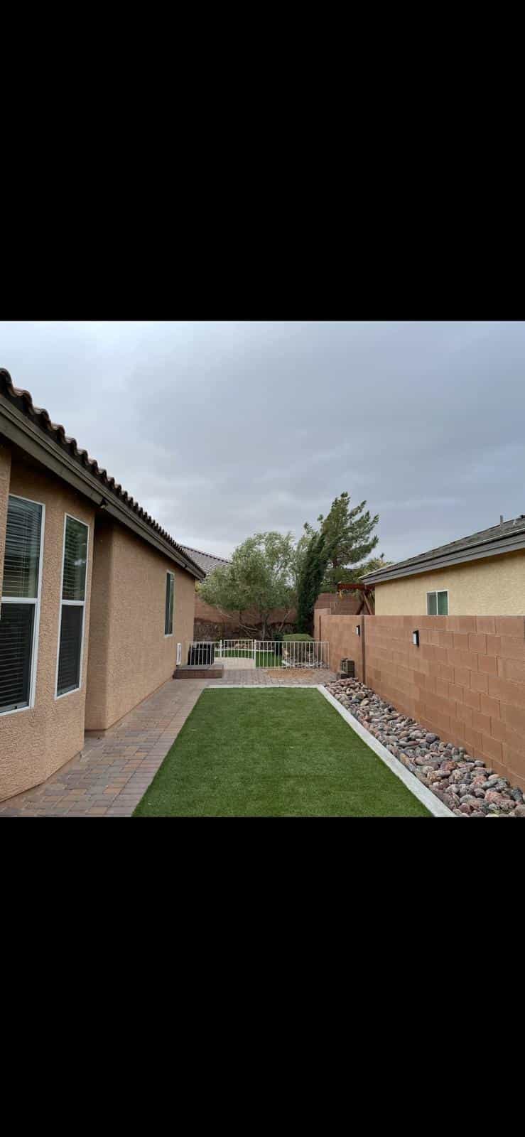After image of a large tree removal in Arizona.