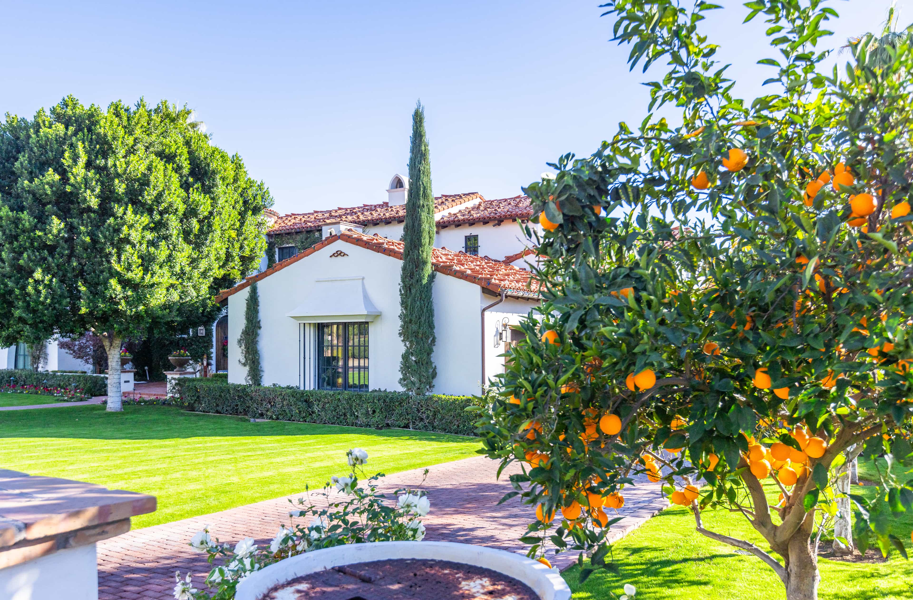 A mediterranean landscape at a California home.