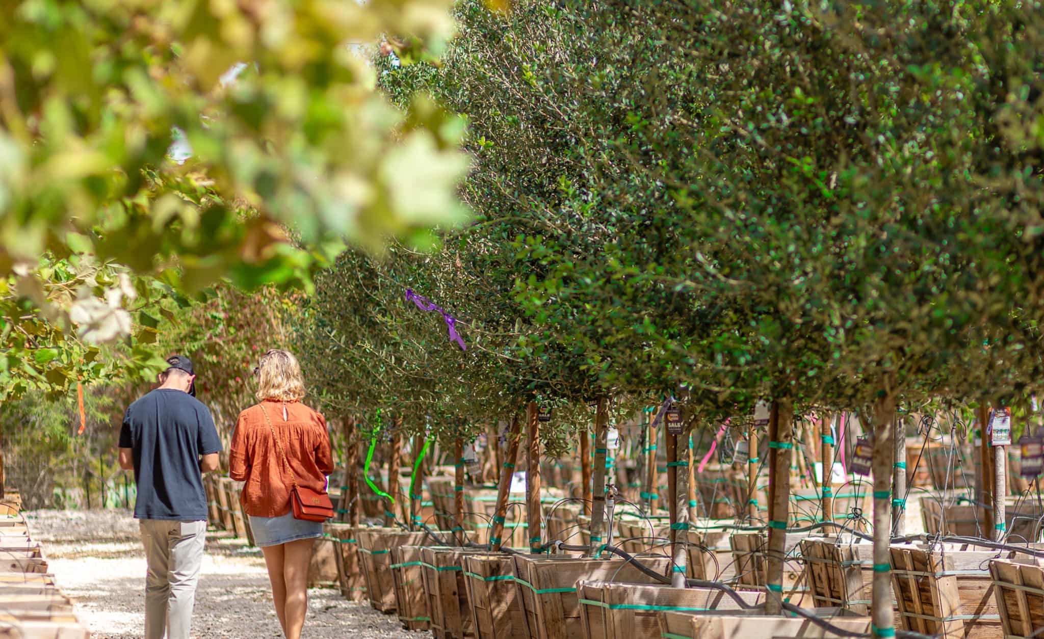 Moon Valley Nurseries