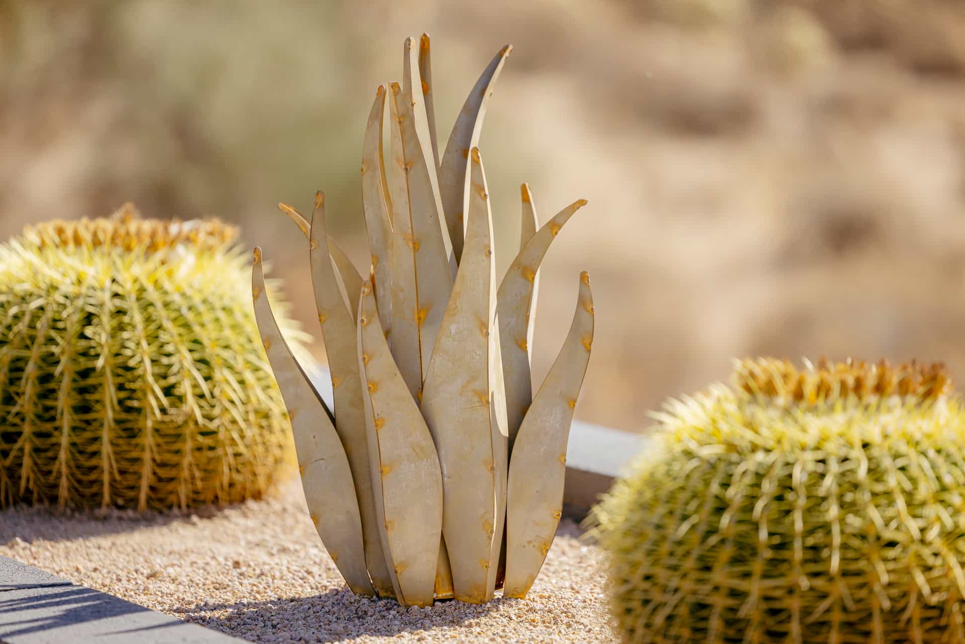 Desert Steel - Sculpture.jpg