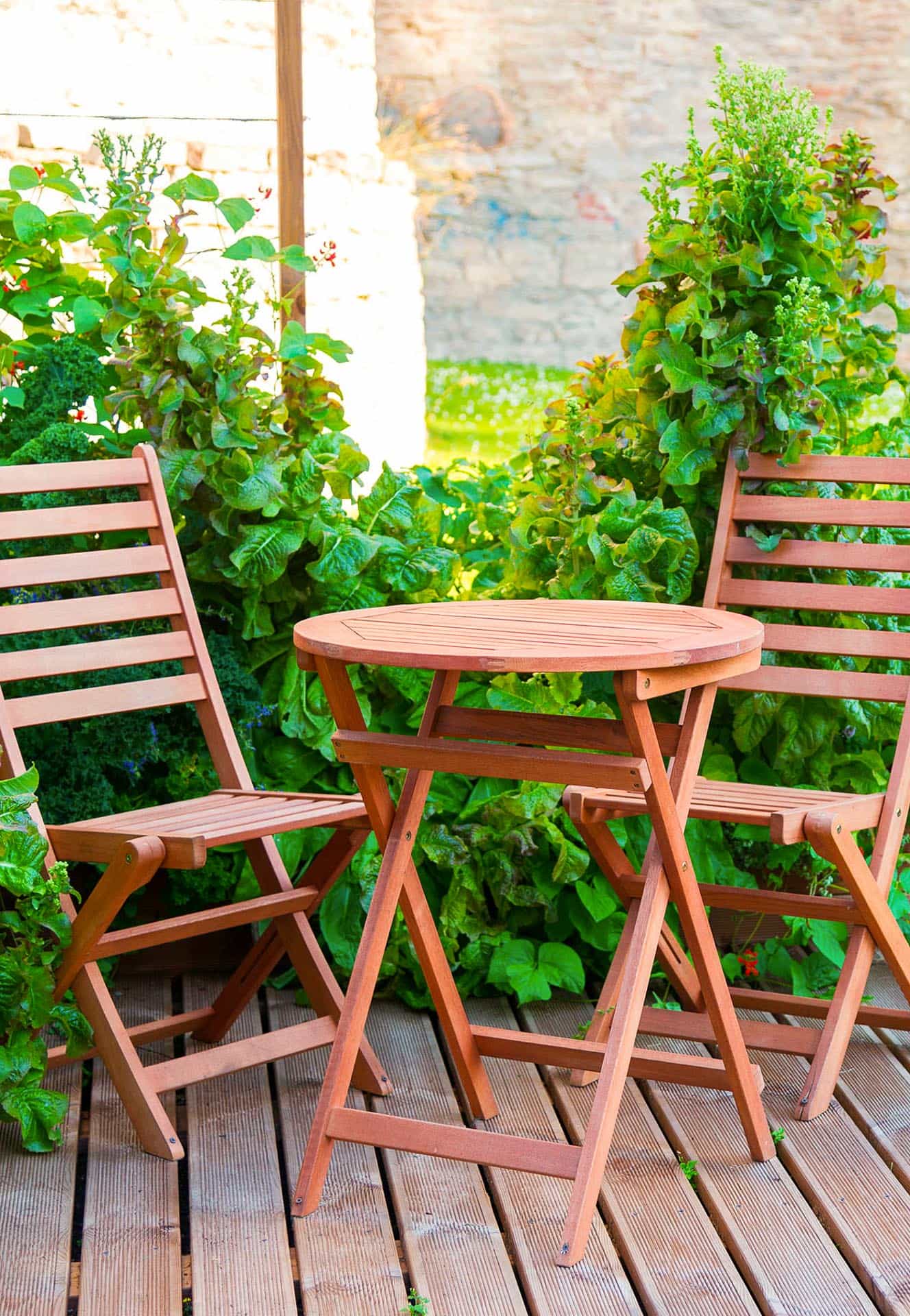 Backyard Patio with dense foliage in the background.