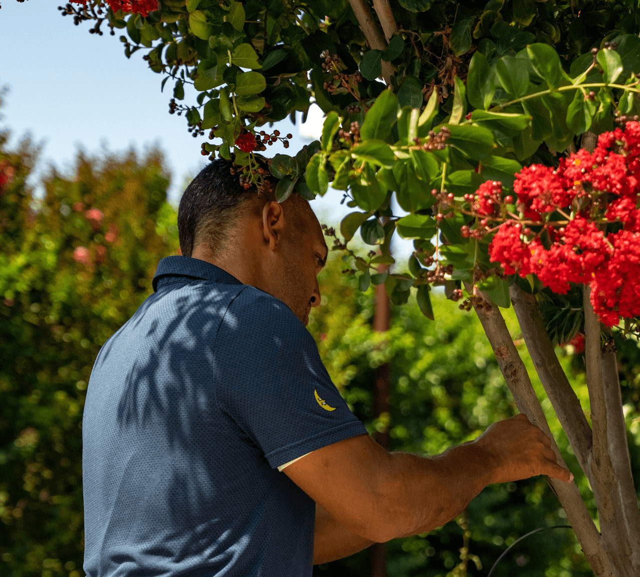 MVP Pro Care Specialist inspects the health of a plant.