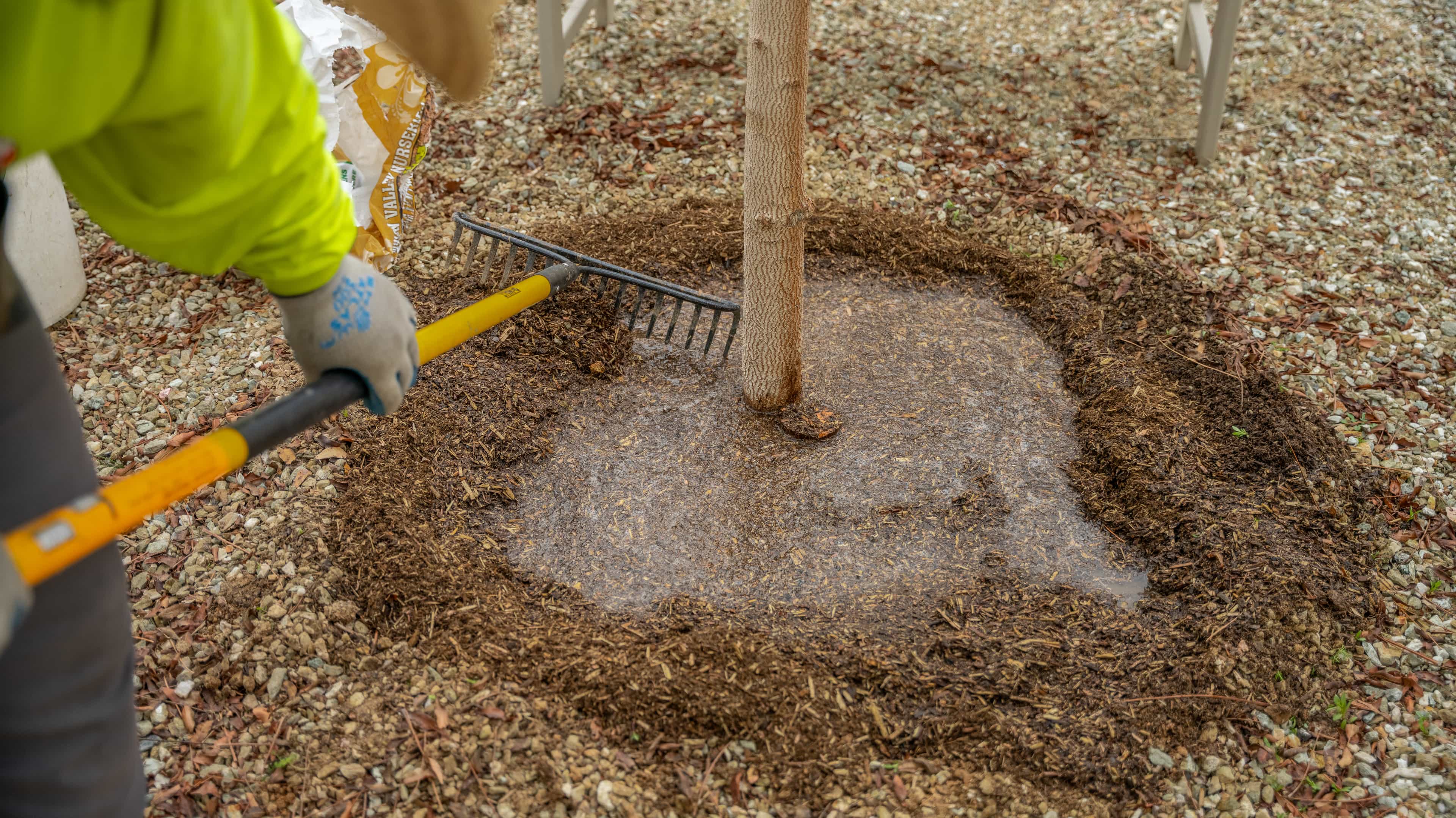 MVP Pro Care Specialist raking a recently watered mulch well.