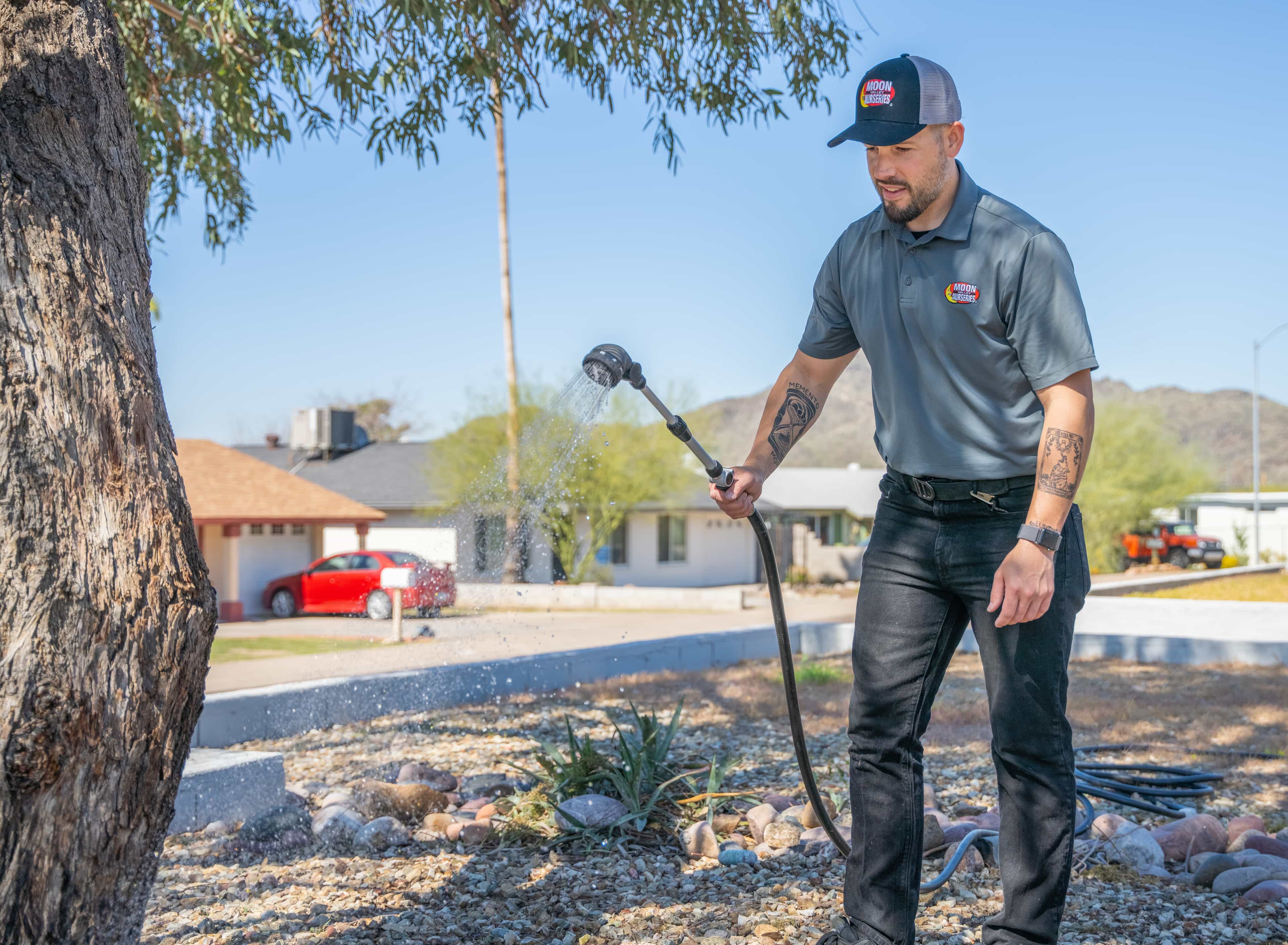 MVP Pro Care Specialist watering a tree in the front yard of a client's home.