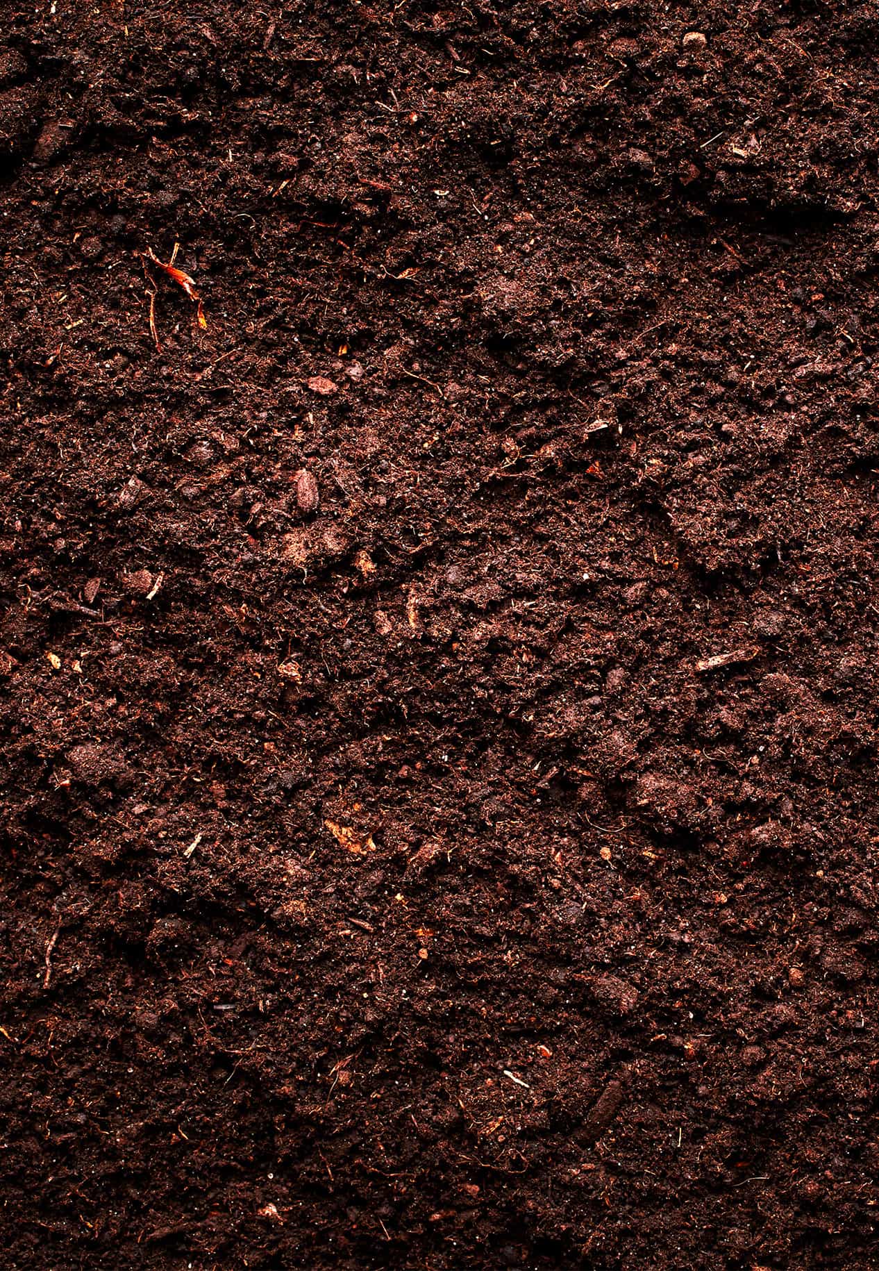 Close-up photo of soil.