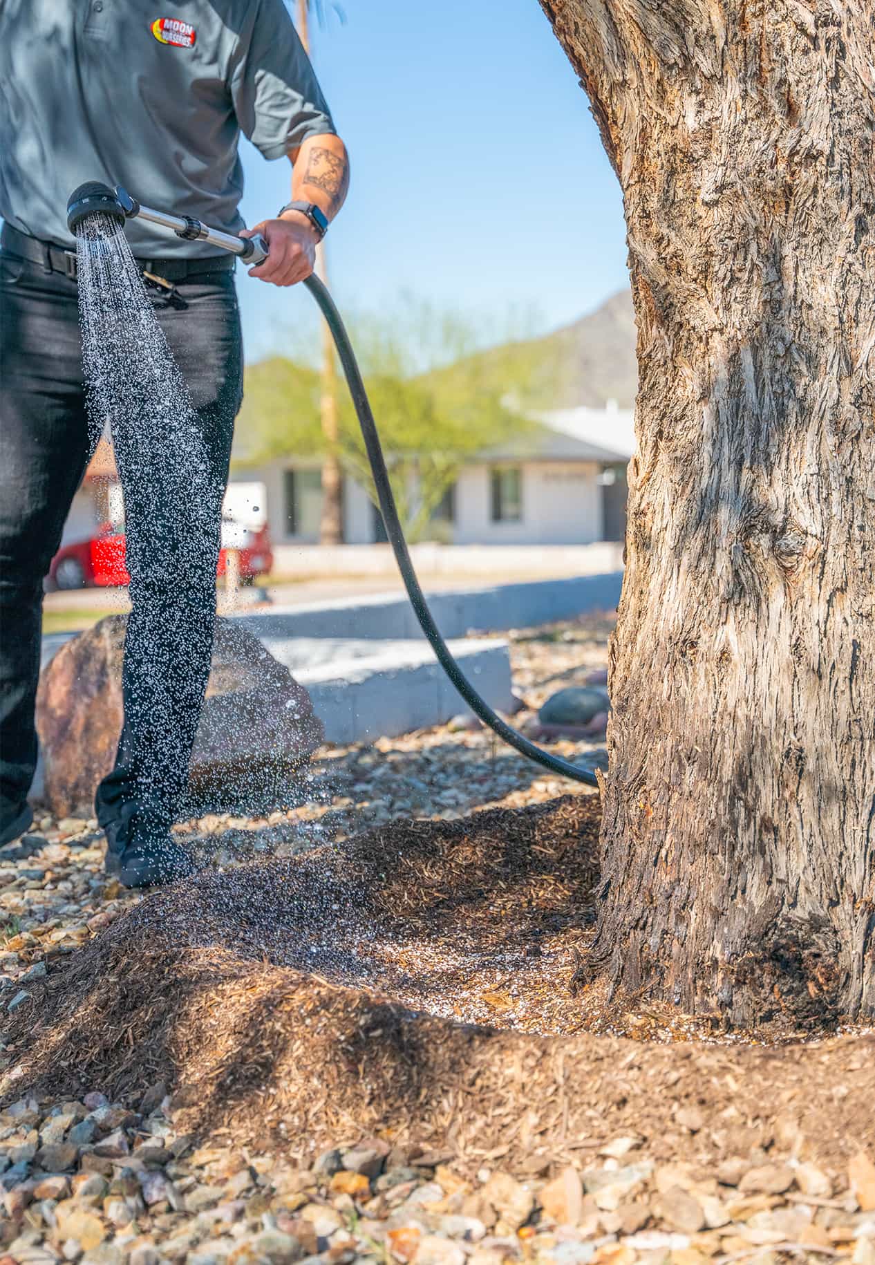 MVP Pro Care Specialist watering the base of a large tree.
