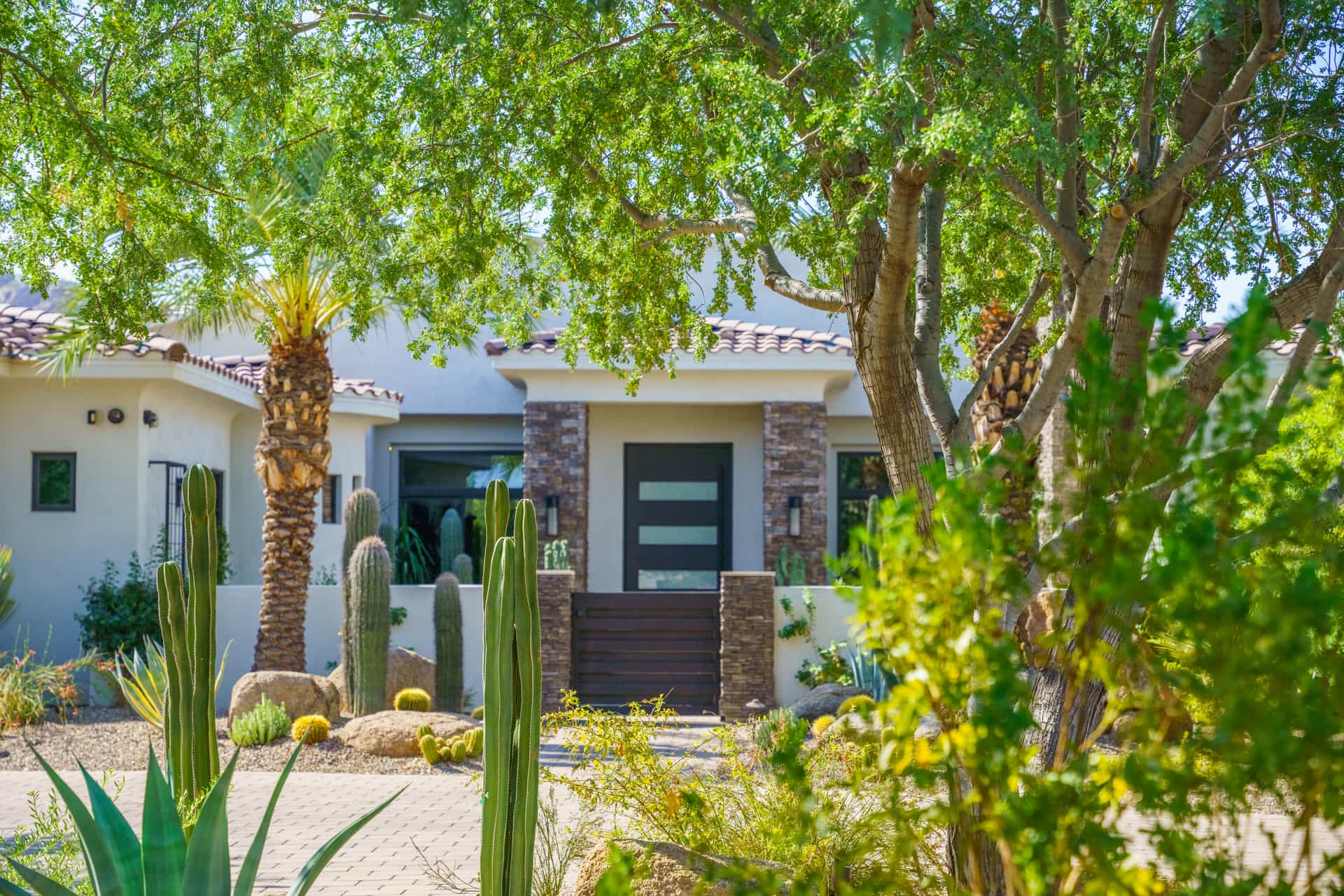 A beautiful southwest landscape in an Arizona home.