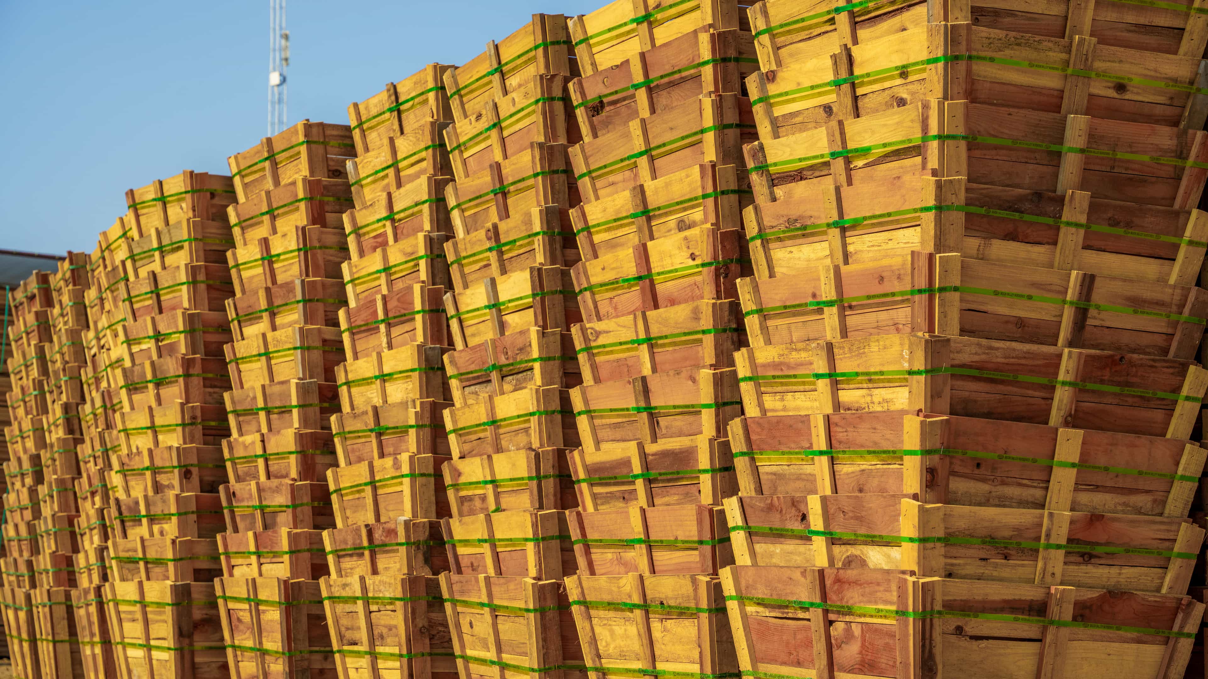 Several boxes to grow trees in are stacked on top of one another.