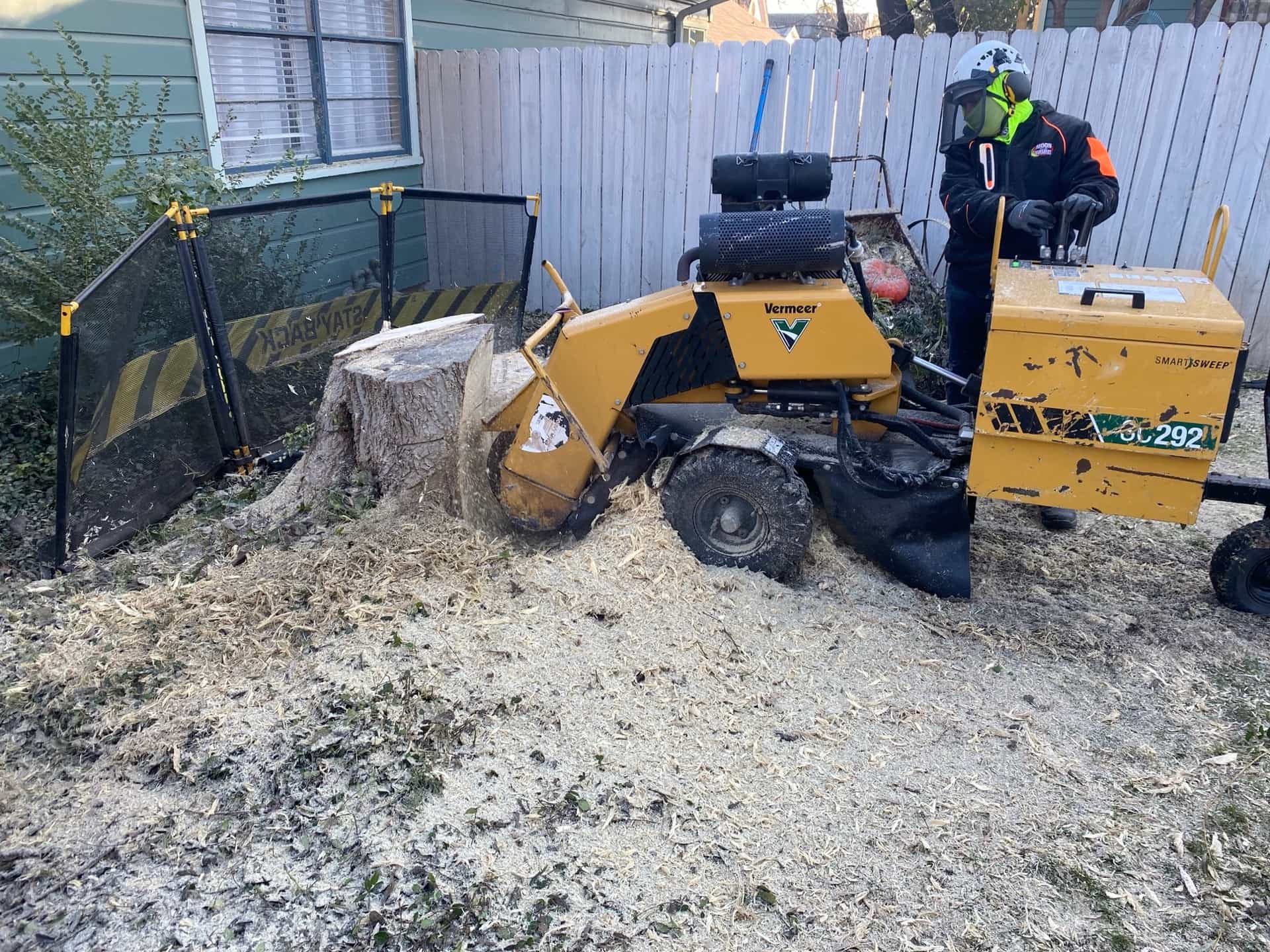 A huge stump being chopped prior to grinding for a total stump removal job in Texas.