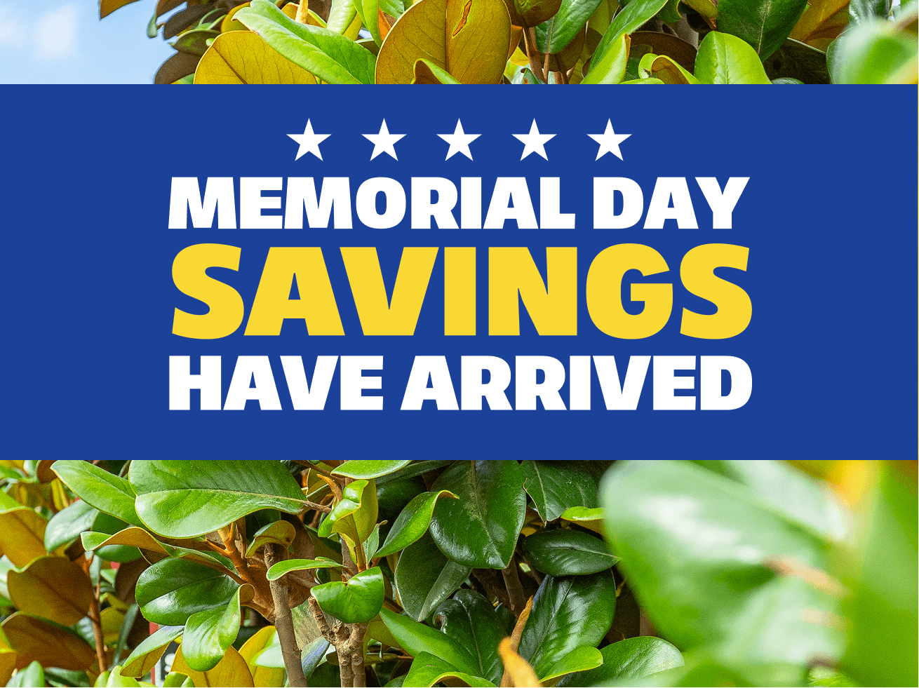 Memorial Day savings have arrived!
