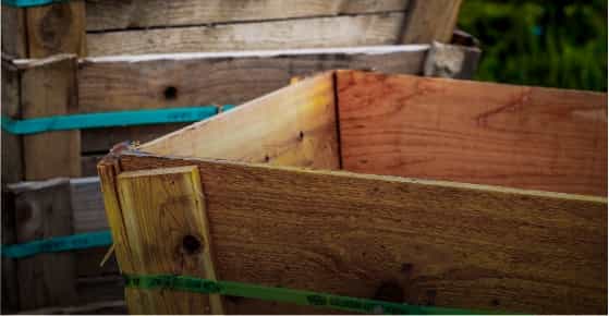 Tree Box - Color