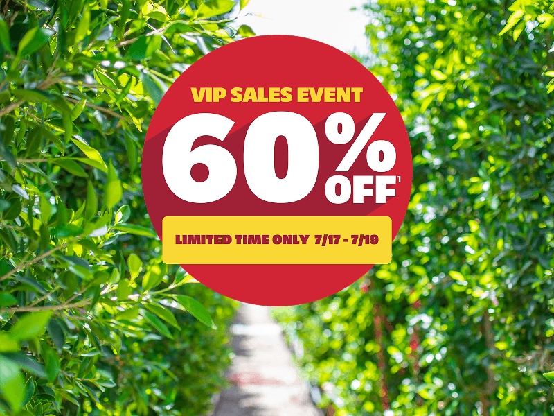 VIP Sales Event | Get 60% Off This Weekend