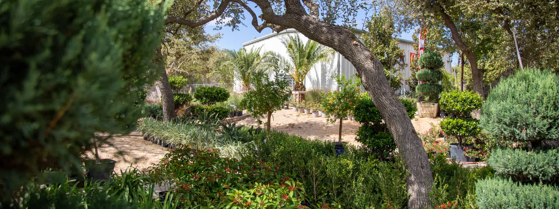 Moon Valley Nurseries Dripping Springs