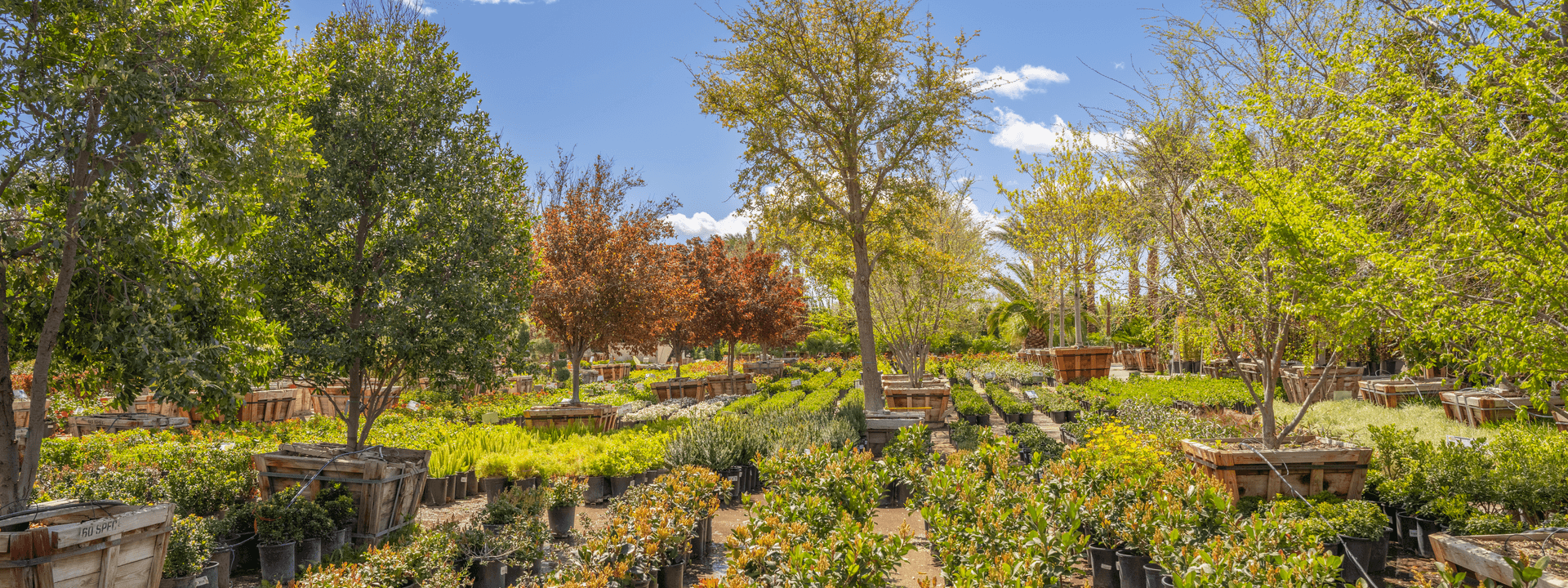 Moon Valley Nurseries Katy