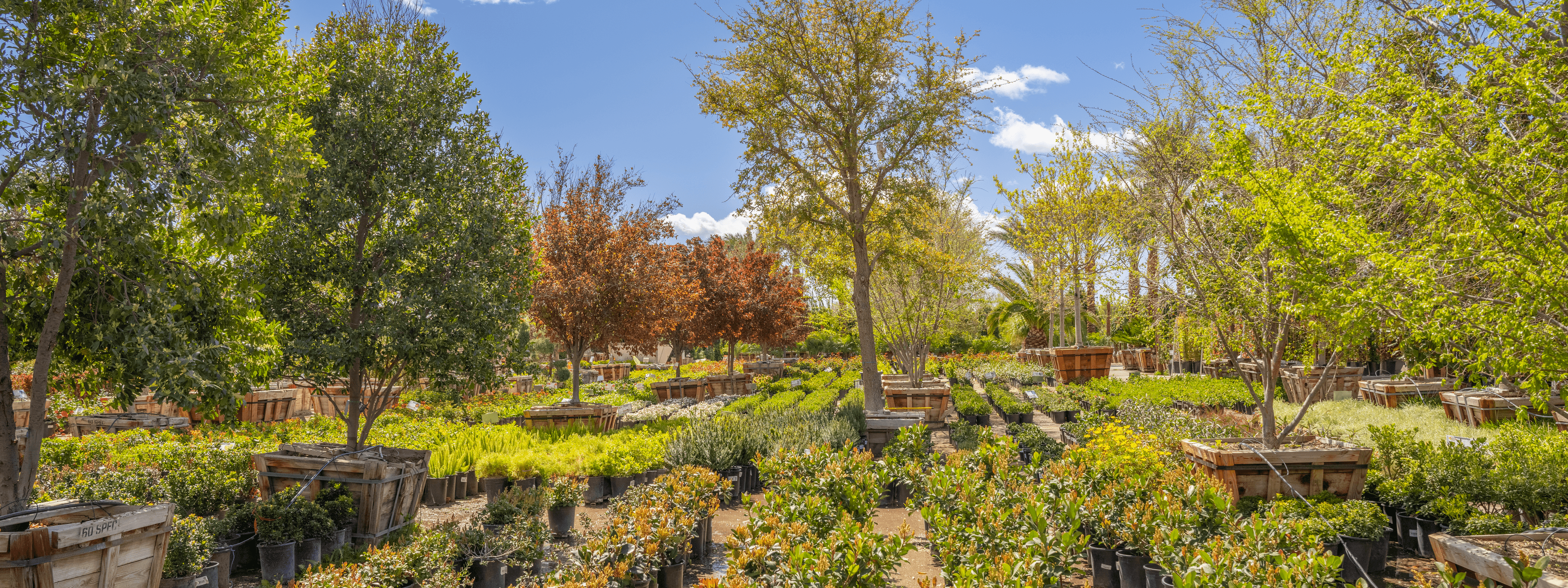 Moon Valley Nurseries Katy