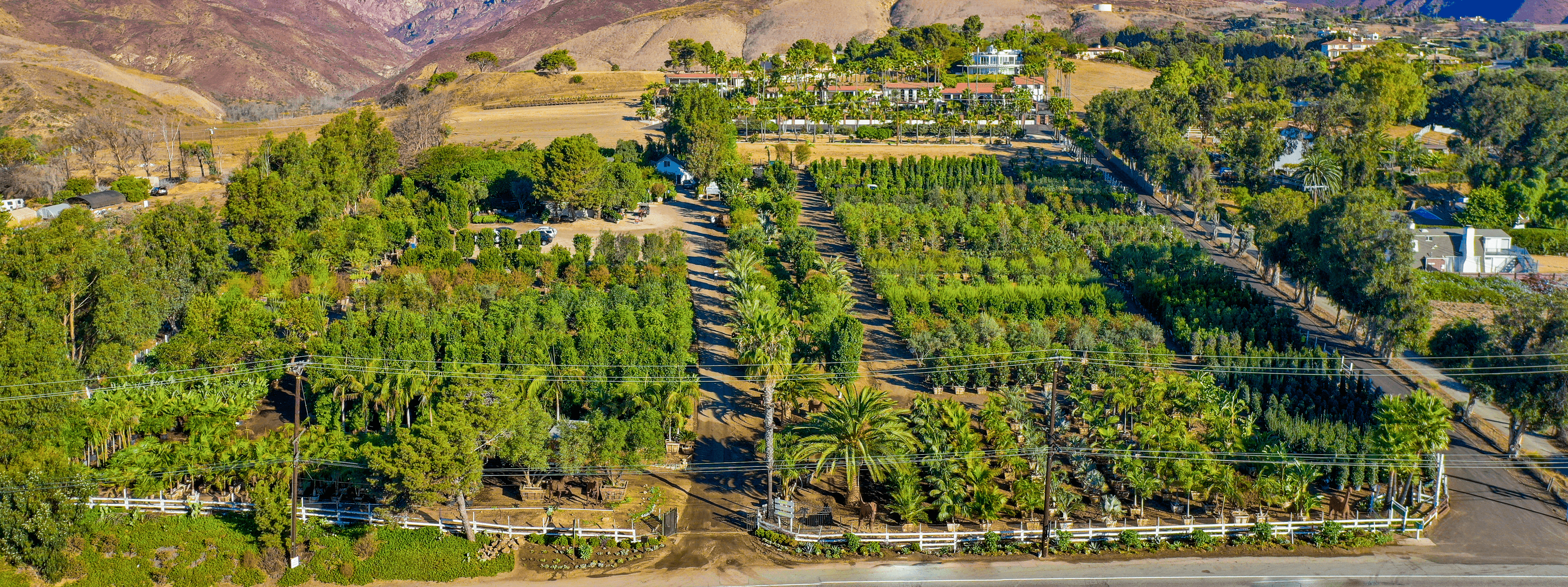Moon Valley Nurseries Malibu