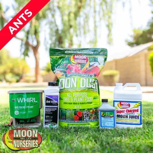 Moon Valley Nurseries Ants Treatment Package