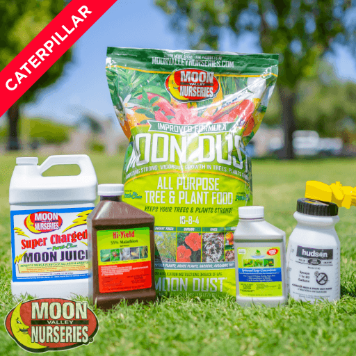 MOON VALLEY NURSERIES' CATERPILLAR TREATMENT PACKAGE