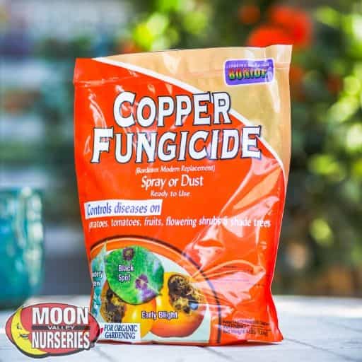 Copper Fungicide