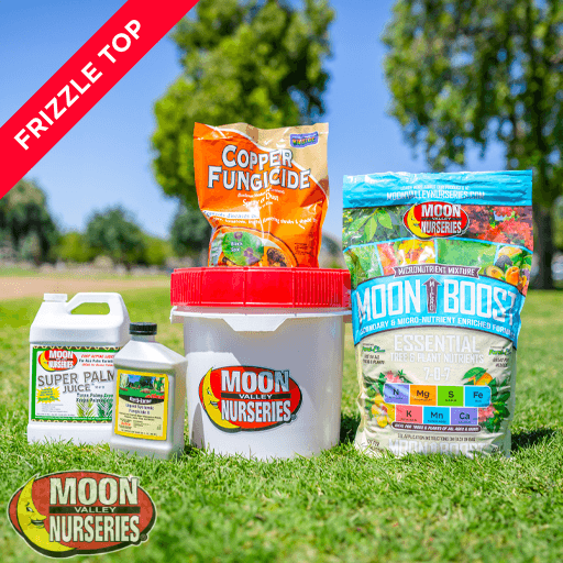 Moon Valley Nurseries' Frizzle Top Treatment Package