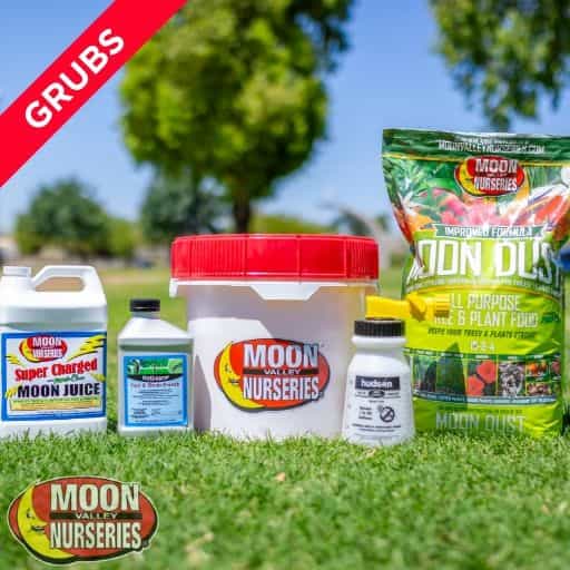Moon Valley Nurseries' Grubs Treatment Package