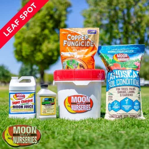 Moon Valley Nurseries' Leaf Spot Treatment Package