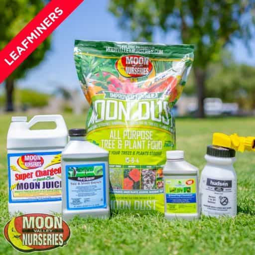 Moon Valley Nurseries' leafminers Treatment Package