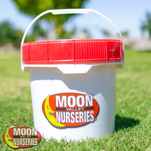 Moon Valley Nurseries' Mixing Bucket