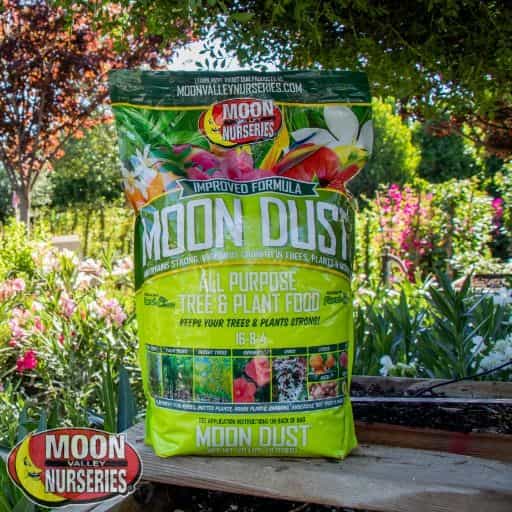 Moon Dust