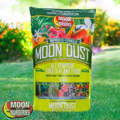 /m/o/moon dust_2.jpg