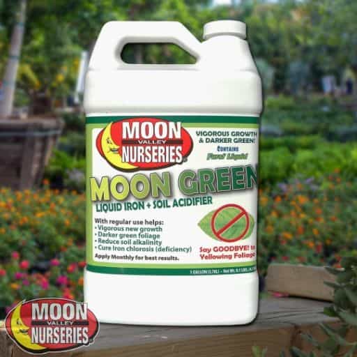 Moon Green