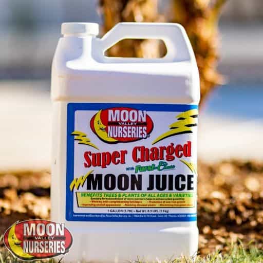 Super Charges Moon Juice