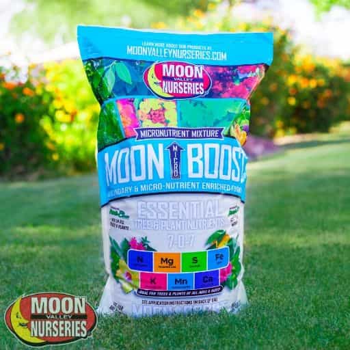 Moon Microboost
