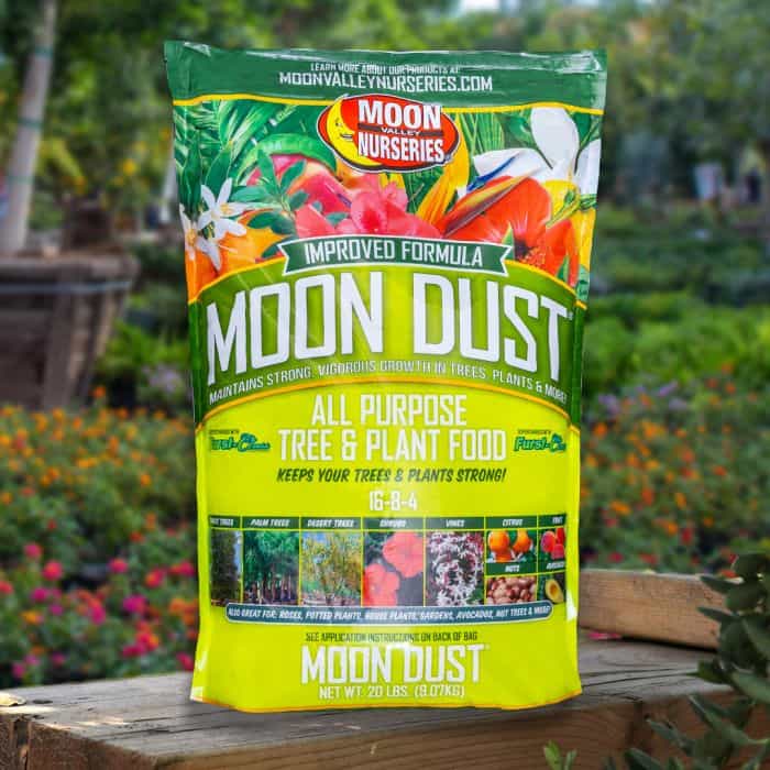 Image of Moon Dust