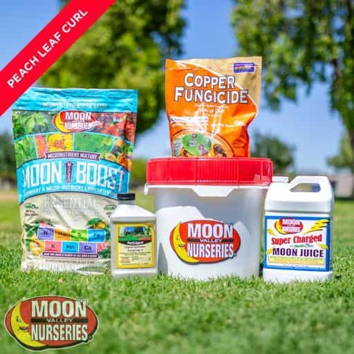 Moon Valley Nurseries' Peach Leaf Curl Treatment Package