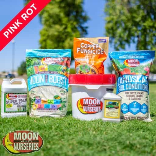 Moon Valley Nurseries' Pink rot Treatment Package