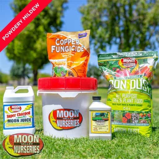 Moon Valley Nurseries' Powdery Mildew Treatment Package