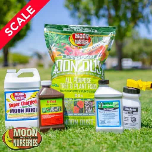 Moon Valley Nurseries Scale Treatment Package