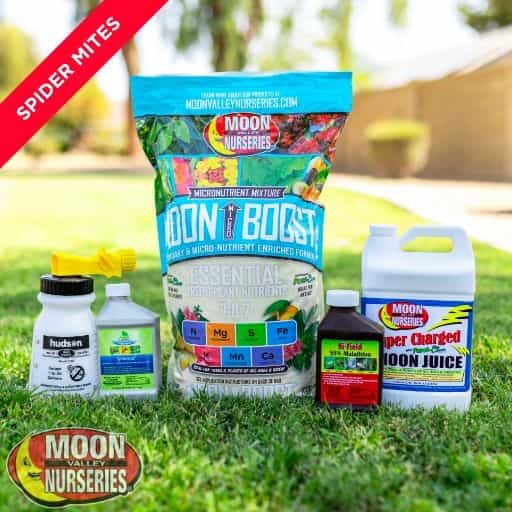 Moon Valley Nurseries' Spider Mite Treatment Package
