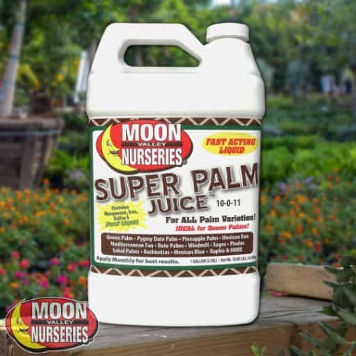 Super Palm Juice®
