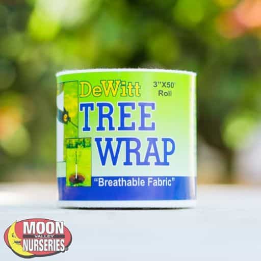 Tree Wrap