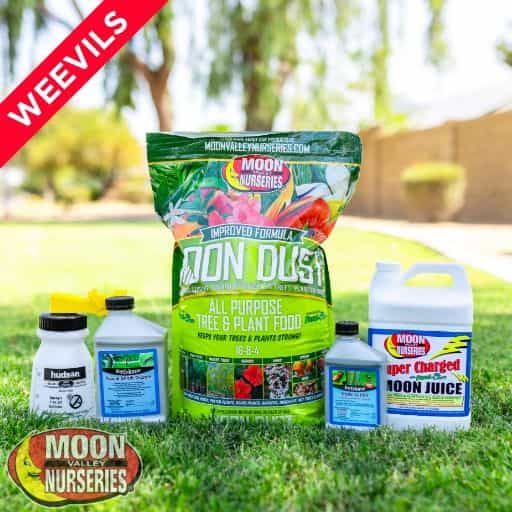 Moon Valley Nurseries' Weevils Treatment Package