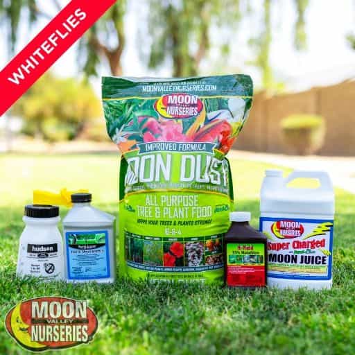 Moon Valley Nurseries' Whiteflies Package