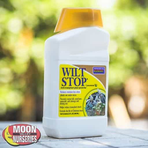 Wilt Stop