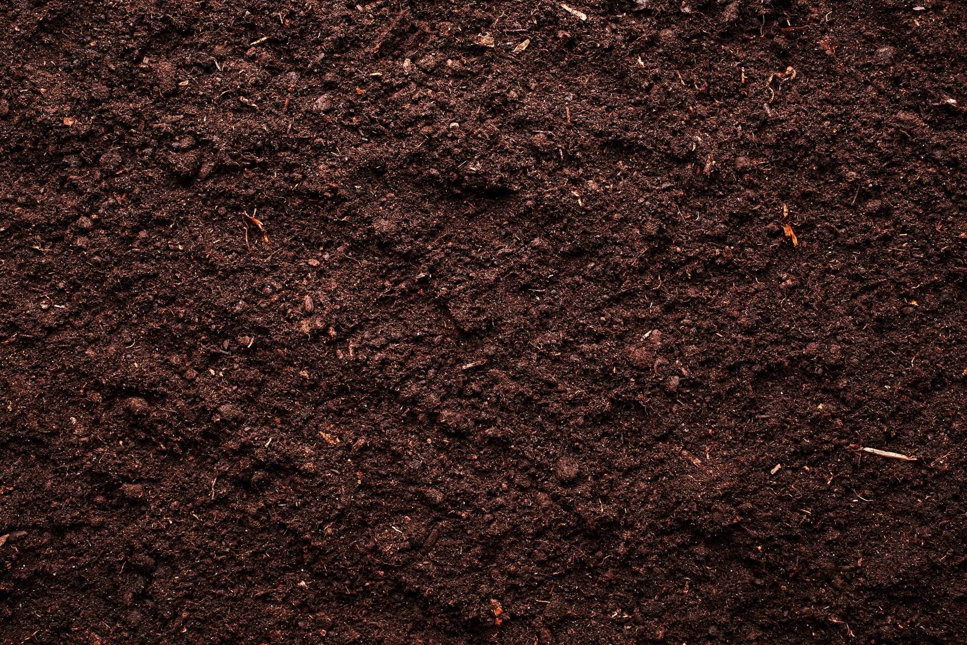 Soil_Hero_Desktop.jpeg